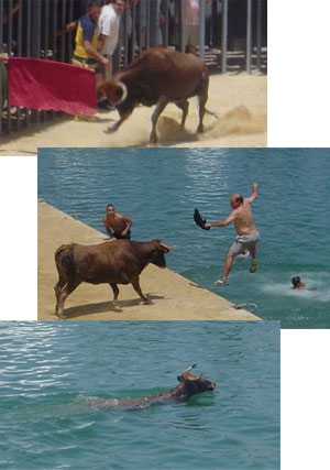 Bous a la Mar
