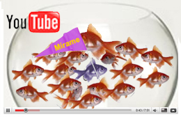 Consejos prácticos para posicionar tus vídeos en YouTube