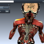 Enseña anatomía humana a tus alumnos utilizando la plataforma 3D BioDigitalHuman