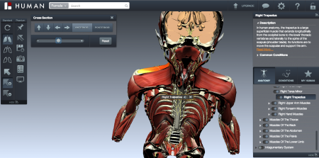 biodigital-body