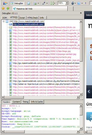 IE - DebugBar