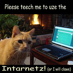 Por favor enséñame a utilizar internet