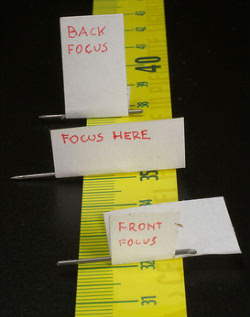 focus-emprender