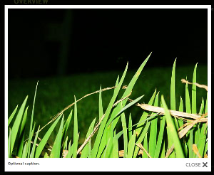 lightbox2