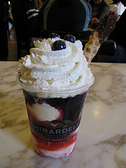 bluberry icecream