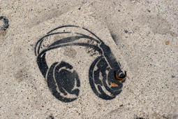 ears