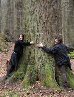 abrazo-arbol