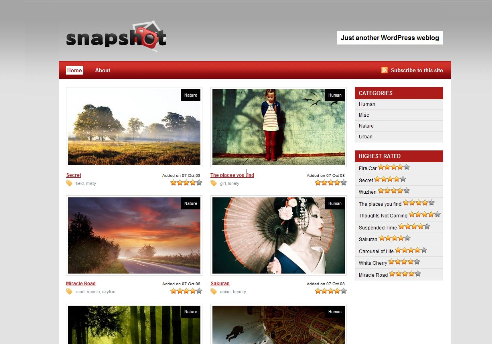 snapshot theme