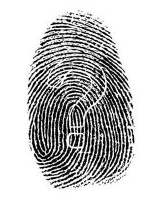 Identidad de marca