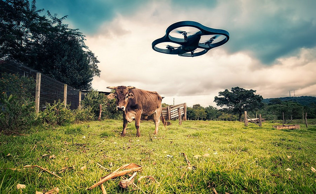 AR DRONE COW