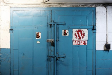 doors-wordpress
