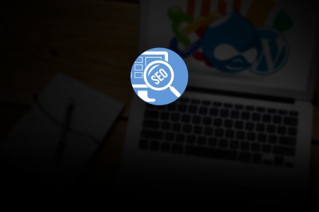 cms-seo