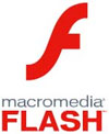 Flash