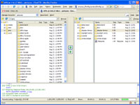Extensión Fireftp
