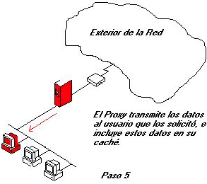 Paso 5