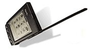 palm2