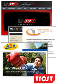 Proyectos Trostme